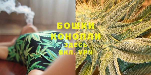 СК Горнозаводск