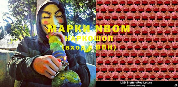 прущие грибы Гусиноозёрск