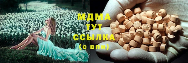 прущие грибы Гусиноозёрск