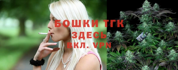 СК Горнозаводск