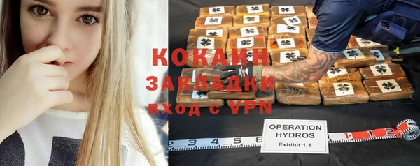 прущие грибы Гусиноозёрск