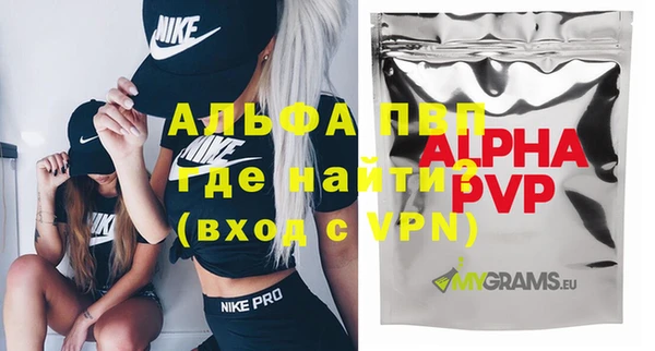 гашик Гусев