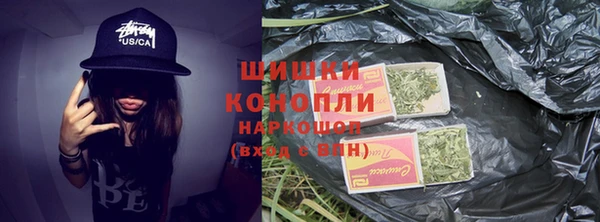 гашик Гусев